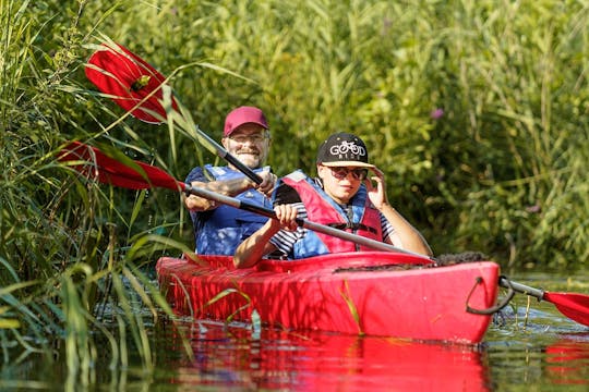 Alquiler de kayak en el río Pliszka en el bosque Rzepińska