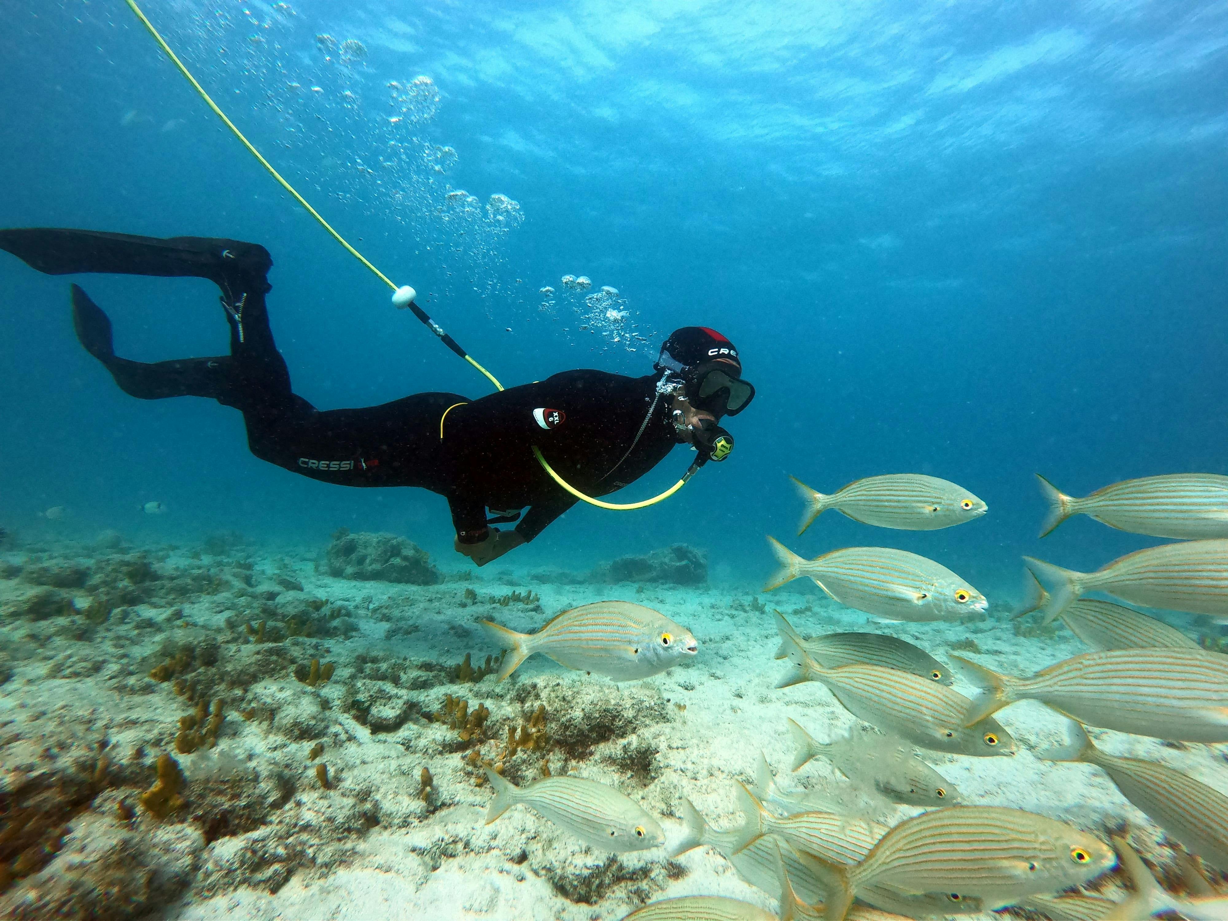 Lobos Island Peter Diving Experience