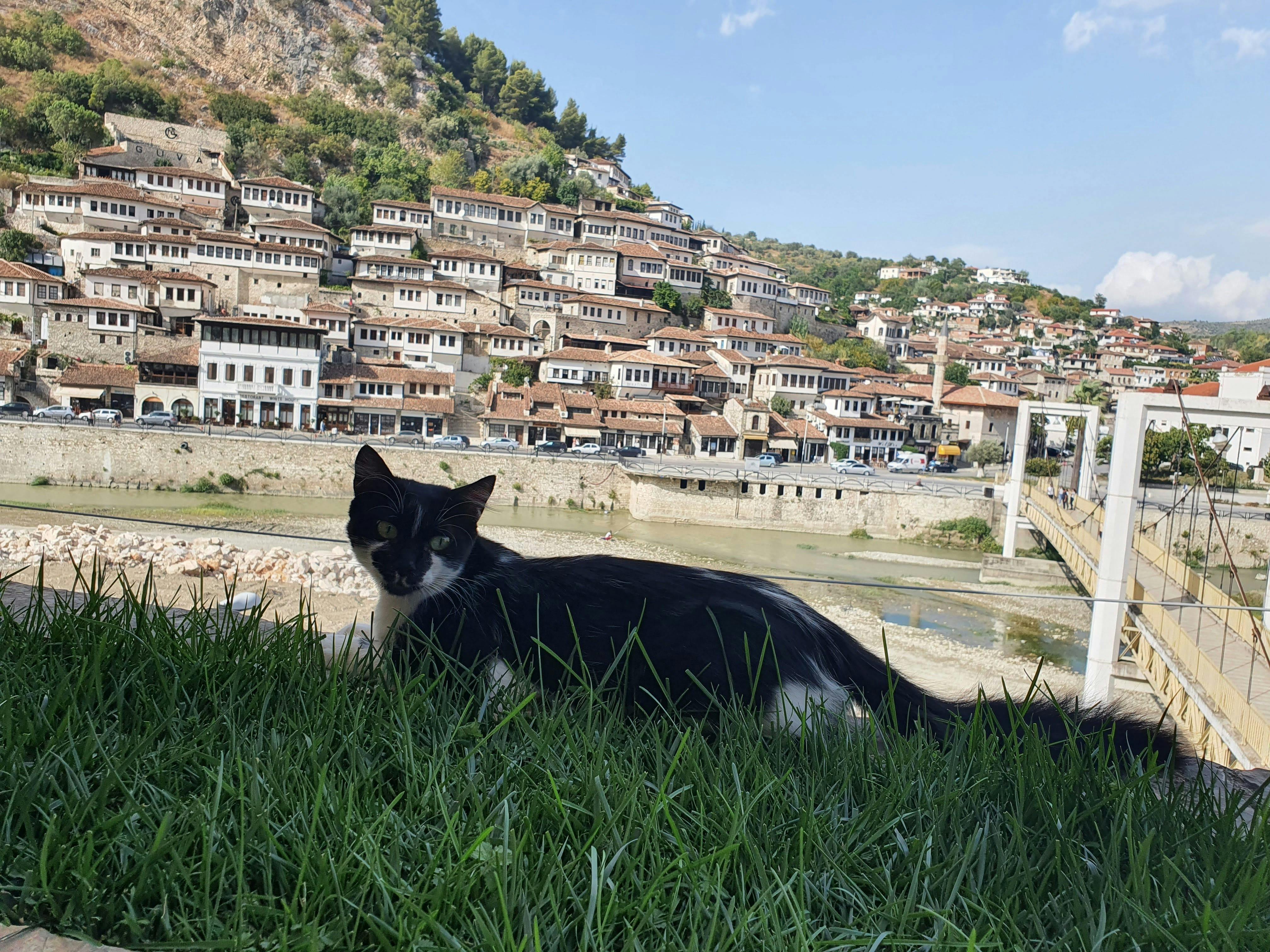 Excursion d'une journée à Berat avec observation des oiseaux dans la lagune de Karavasta