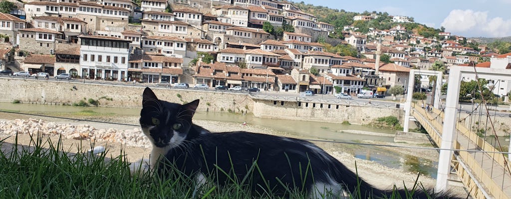 Excursion d'une journée à Berat avec observation des oiseaux dans la lagune de Karavasta