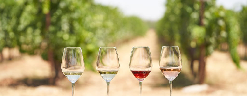 'Degustazione di vini Enoma a Kos