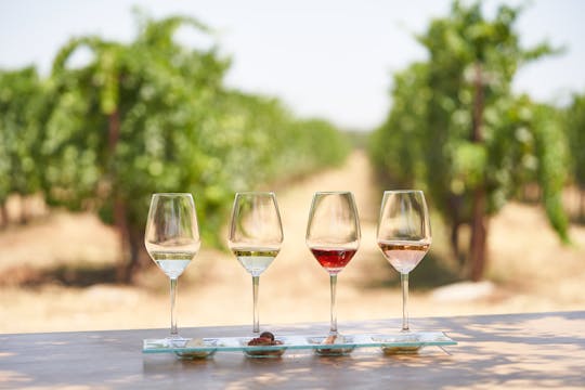 'Degustazione di vini Enoma a Kos