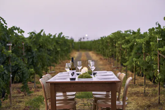 Degustazione di vini Karpima a Kos