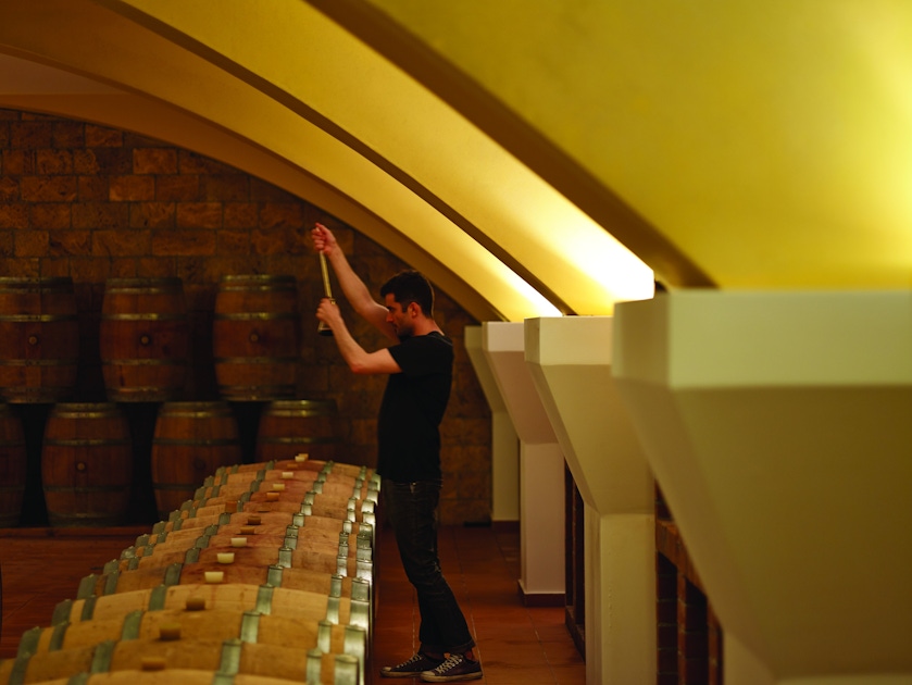 'Echo wine tasting in Kos musement