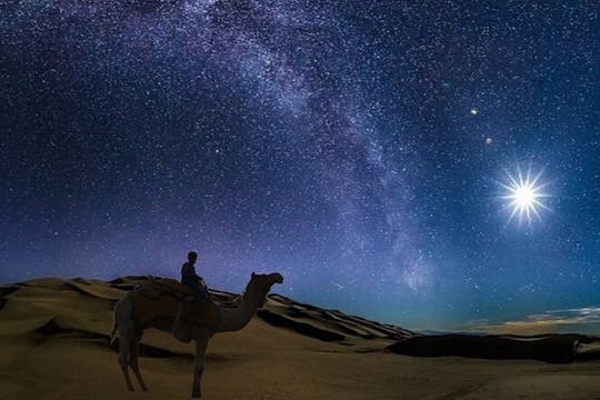 Desert private guided night safari, camel ride, and dune bashing