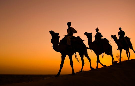 Private sunset desert safari, dune bashing, sand boarding and more