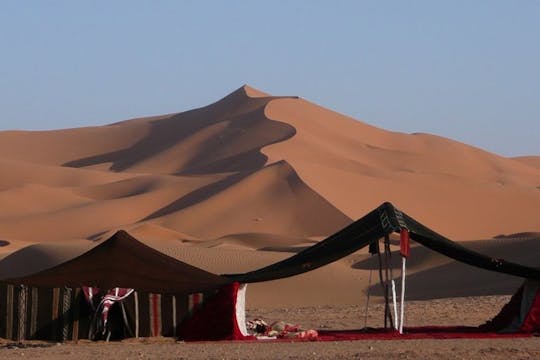Dune bash, giro in cammello, safari e pasto barbecue nel campo nel deserto da Doha