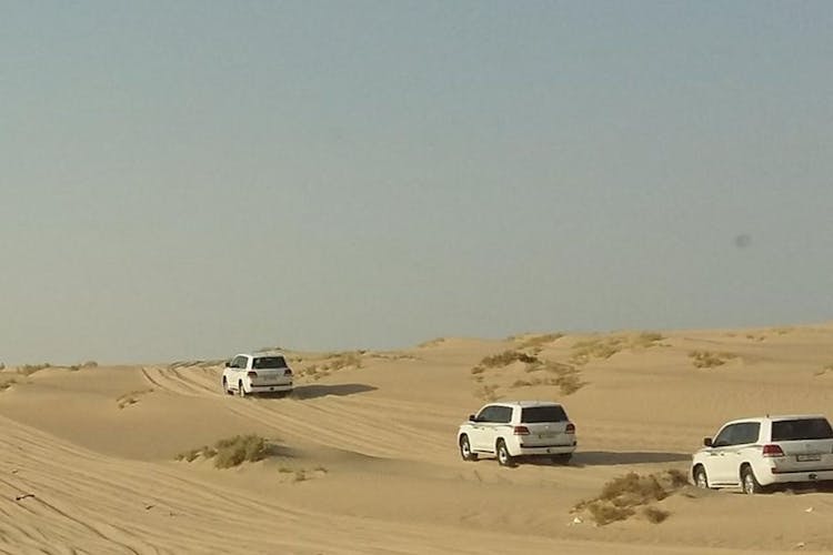 Desert safari, sand boarding, camel ride, and swim from Doha