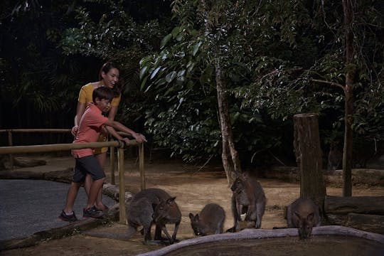Park Hopper 2 en 1 : safari nocturne à Singapour + parc ornithologique de Jurong