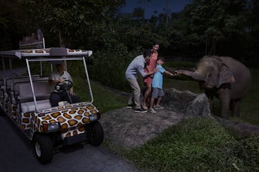 Park Hopper 2 em 1: Safari noturno em Cingapura + maravilhas do rio