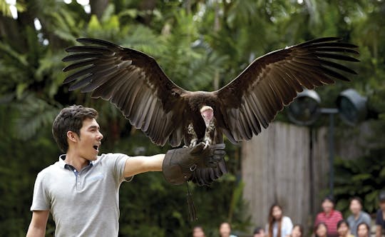 2-in-1-Park-Hopper: Zoo Singapur + Jurong-Vogelpark