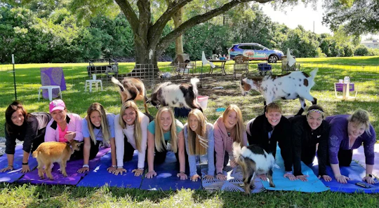 Goat yoga class with mimosa and farm tour in Houston