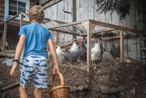 fareharbor-goatyogakaty|284362-536660