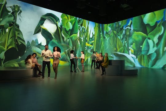 Illuminarium O'Keeffe Combination admission ticket in Atlanta