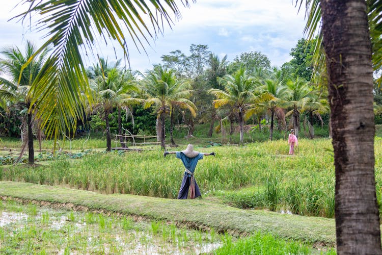 Phuket Sightseeing Tour