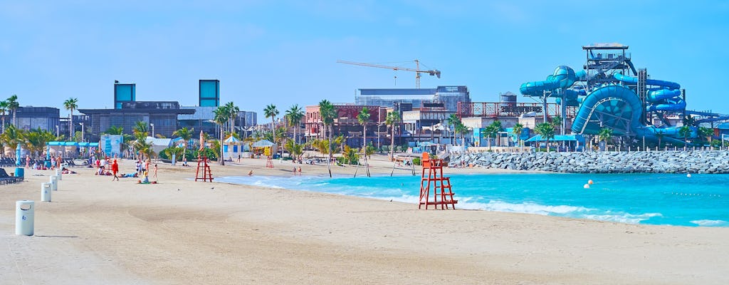 Explore Dubai Laguna Waterpark full-day pass
