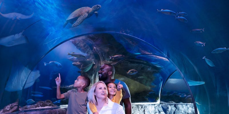 Eintrittskarten für das Sea Life Aquarium Orlando und Virtual Reality Experience