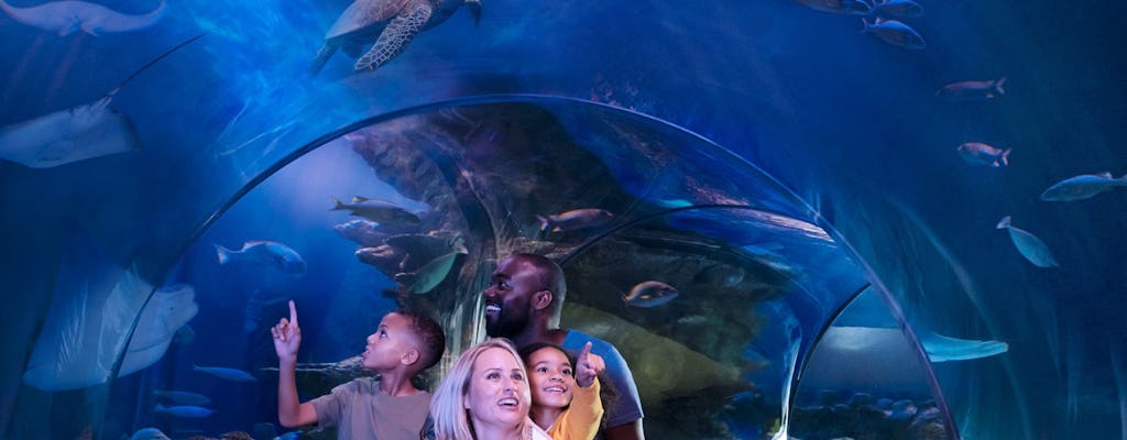 Sea Life Aquarium Orlando and Virtual Reality Experience entrance tickets