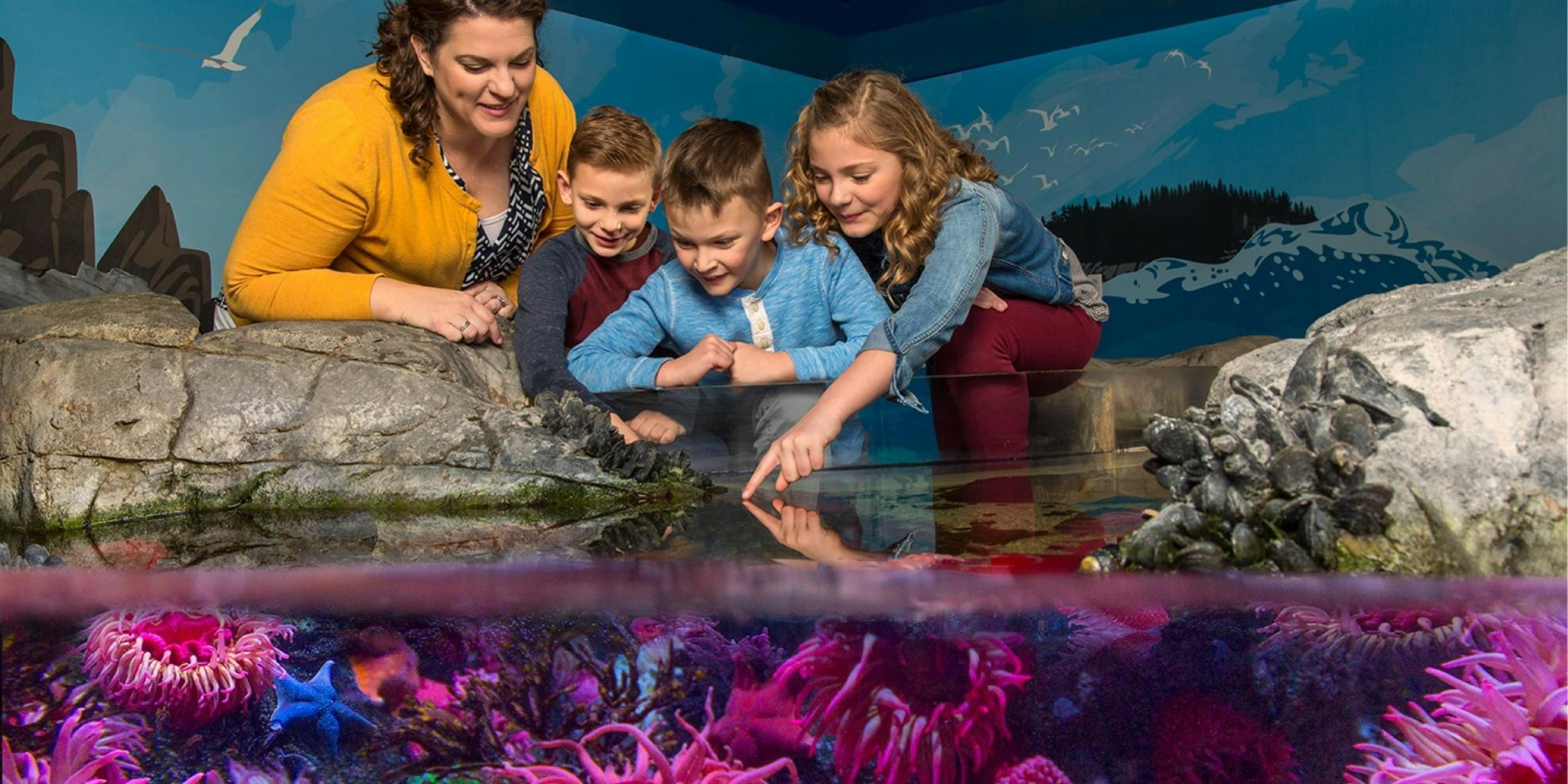 Madame Tussauds, Sea Life Aquarium Orlando and Virtual Reality Experience tickets