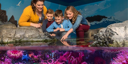 Entradas para Madame Tussauds, Sea Life Aquarium Orlando y Virtual Reality Experience