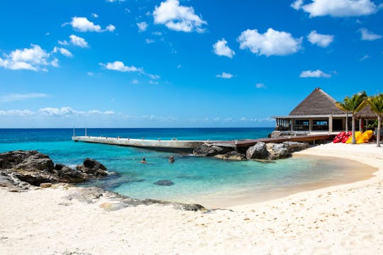 Excursion et plongée libre à Cozumel