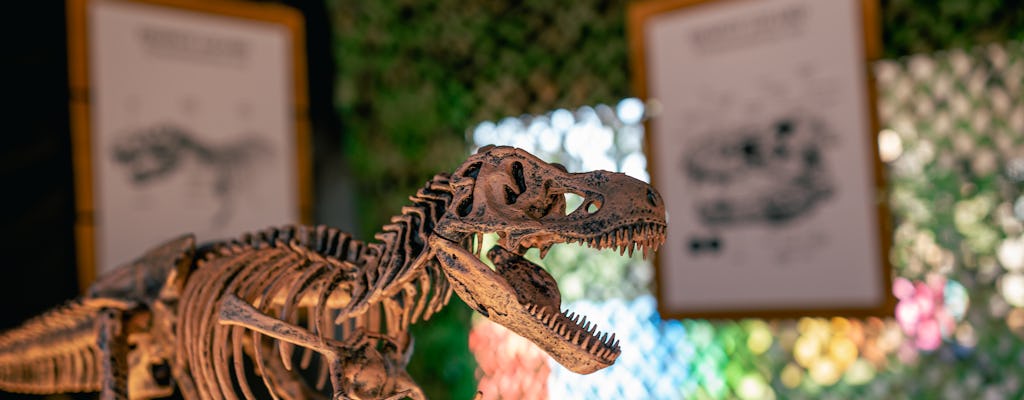 Mostra temporanea di Jurassic Jones Adventure al Poble Espanyol