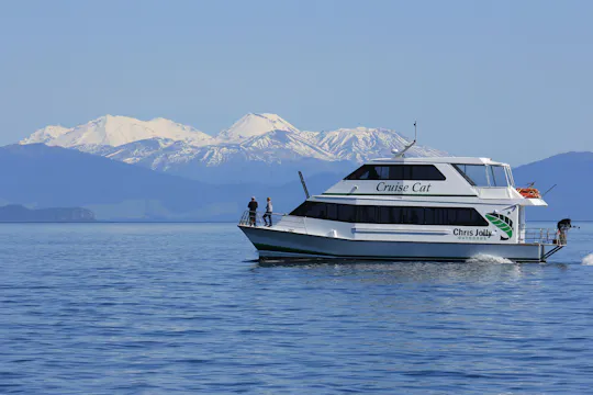 Schilderachtige cruise naar de rotstekeningen van Ngātoroirangi Māori met live visdemonstratie