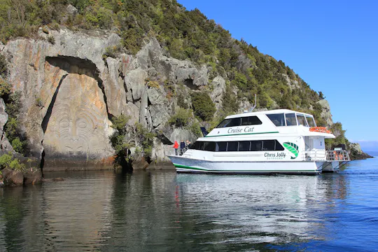 Middagcruise naar de rotstekeningen van Ngātoroirangi Māori