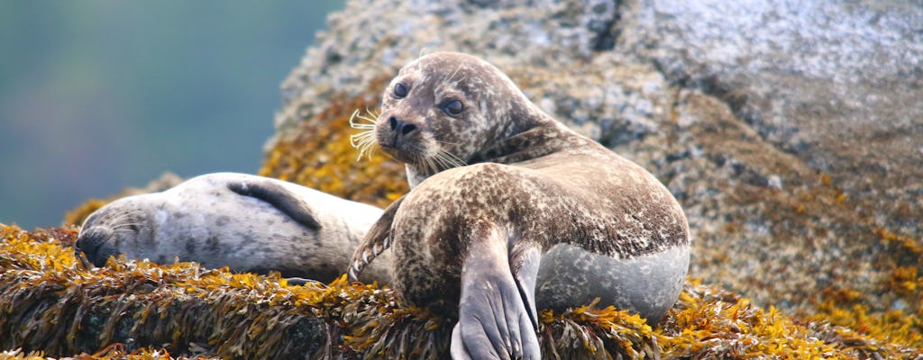 Visita turística a la costa de Sea Vancouver con recorrido por la ciudad y la naturaleza