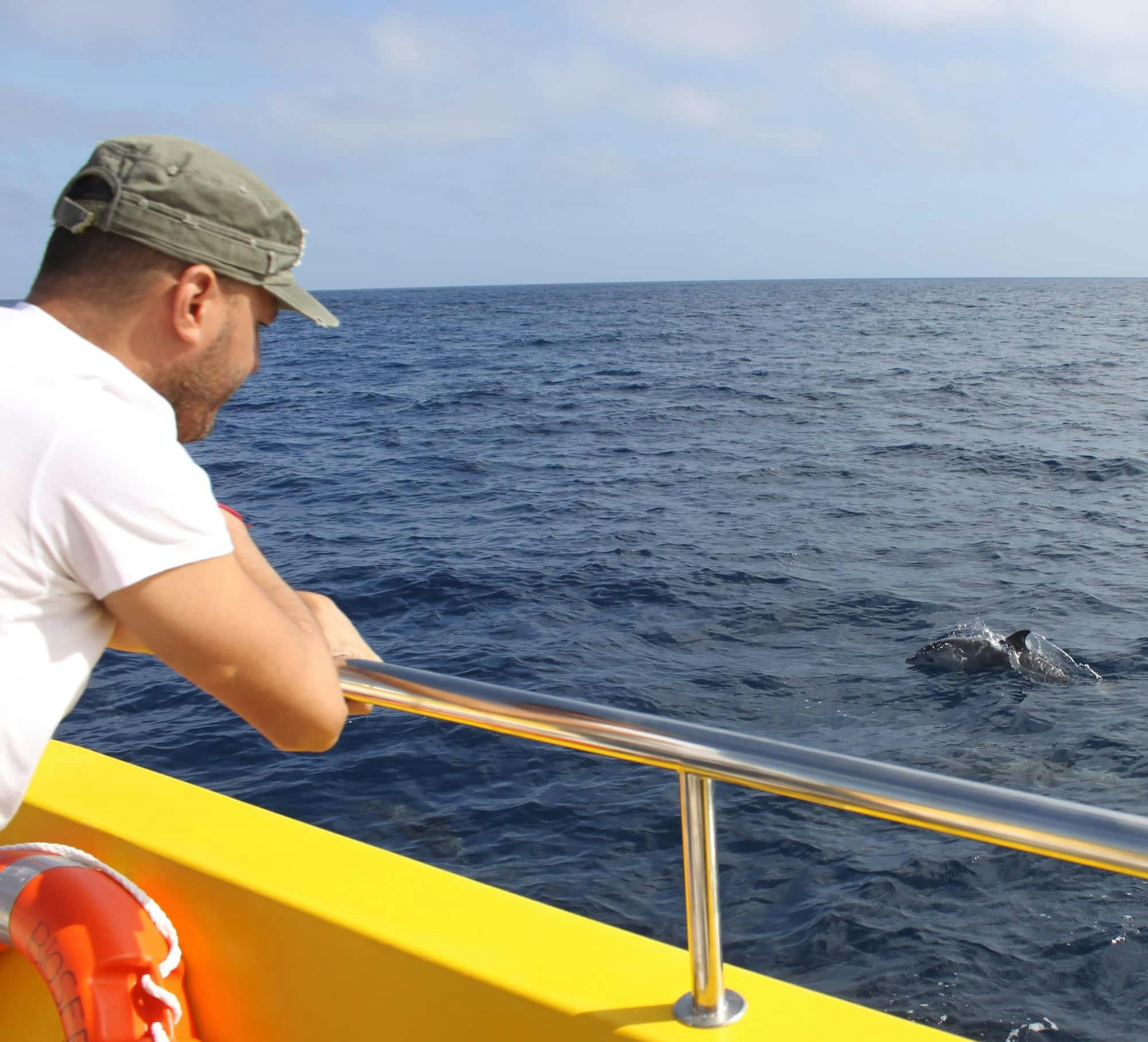 Lanzarote Dolphin Watching Mini Cruise
