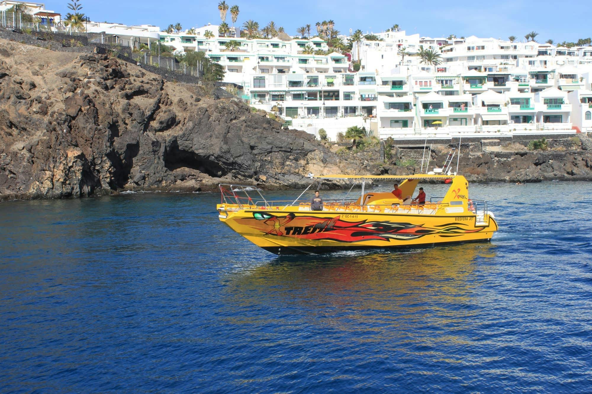 Mini-croisière en mer à la recherche des dauphins à Lanzarote