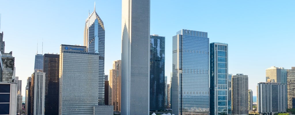 Geführter Rundgang durch die moderne Architektur der Mitte des Jahrhunderts in Chicago