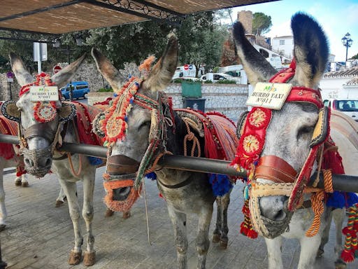 Fuengirola Market & Mijas Tour