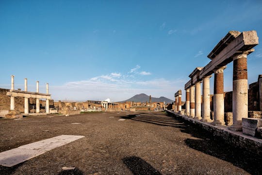 Pompeii and Vesuvius small group tour from Amalfi with skip-the-line tickets