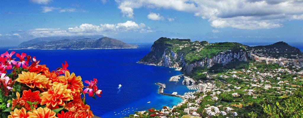 Capri- en Anacapri-rondleiding van een hele dag vanuit Maiori