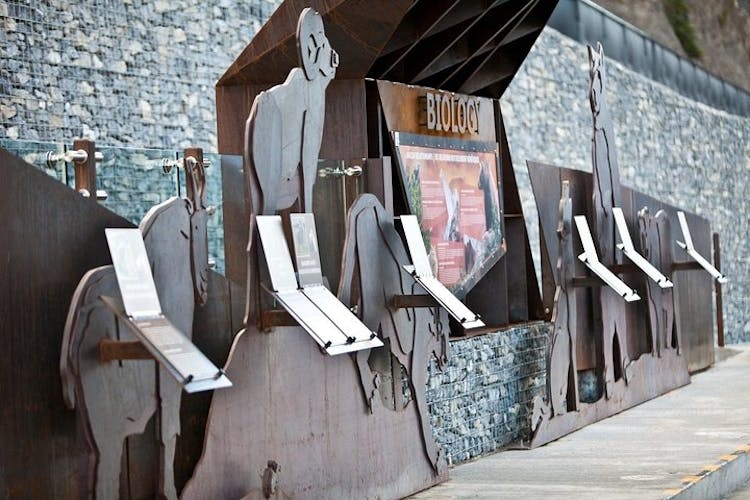 Glacier Skywalk experience in Jasper