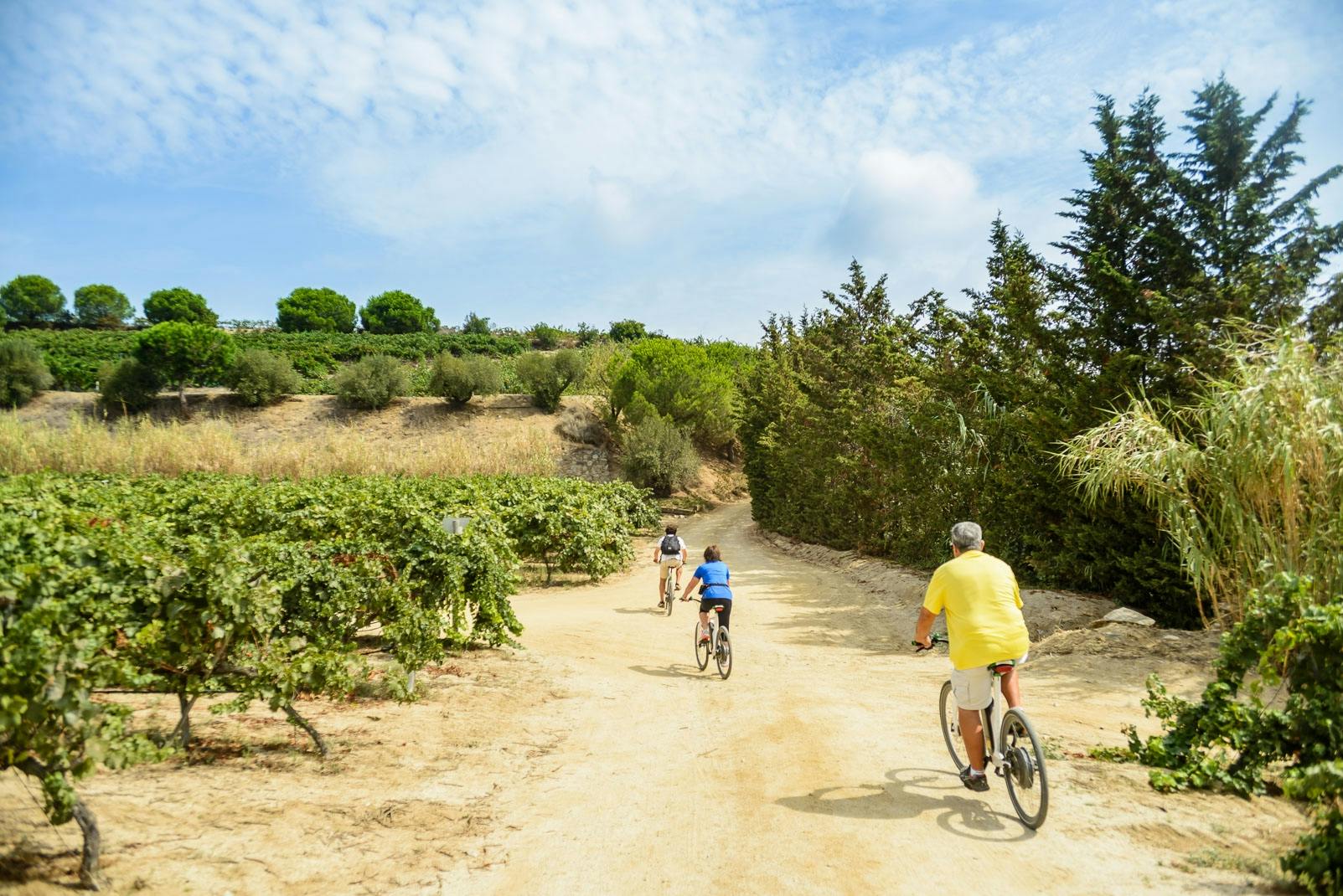 Przygoda na rowerze elektrycznym od wybrzeża Barcelony do winnic, wycieczka po winnicy i degustacja wina