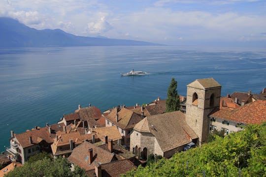 Cruise along Lavaux vineyards from Lausanne with audioguide