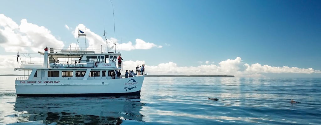 Jervis Bay memorable dolphin cruise