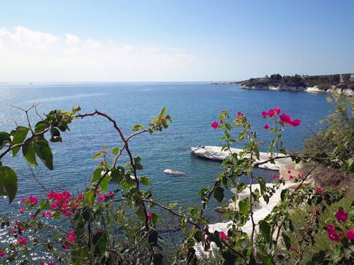 Private Full-day Cyprus Guided Tour by Taxi