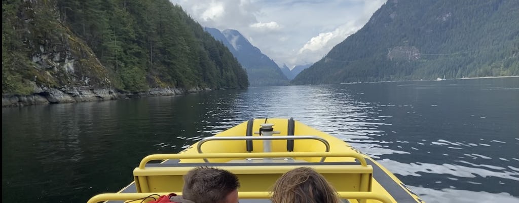 Visite du front de mer de Vancouver avec visite de la ville et de la cascade