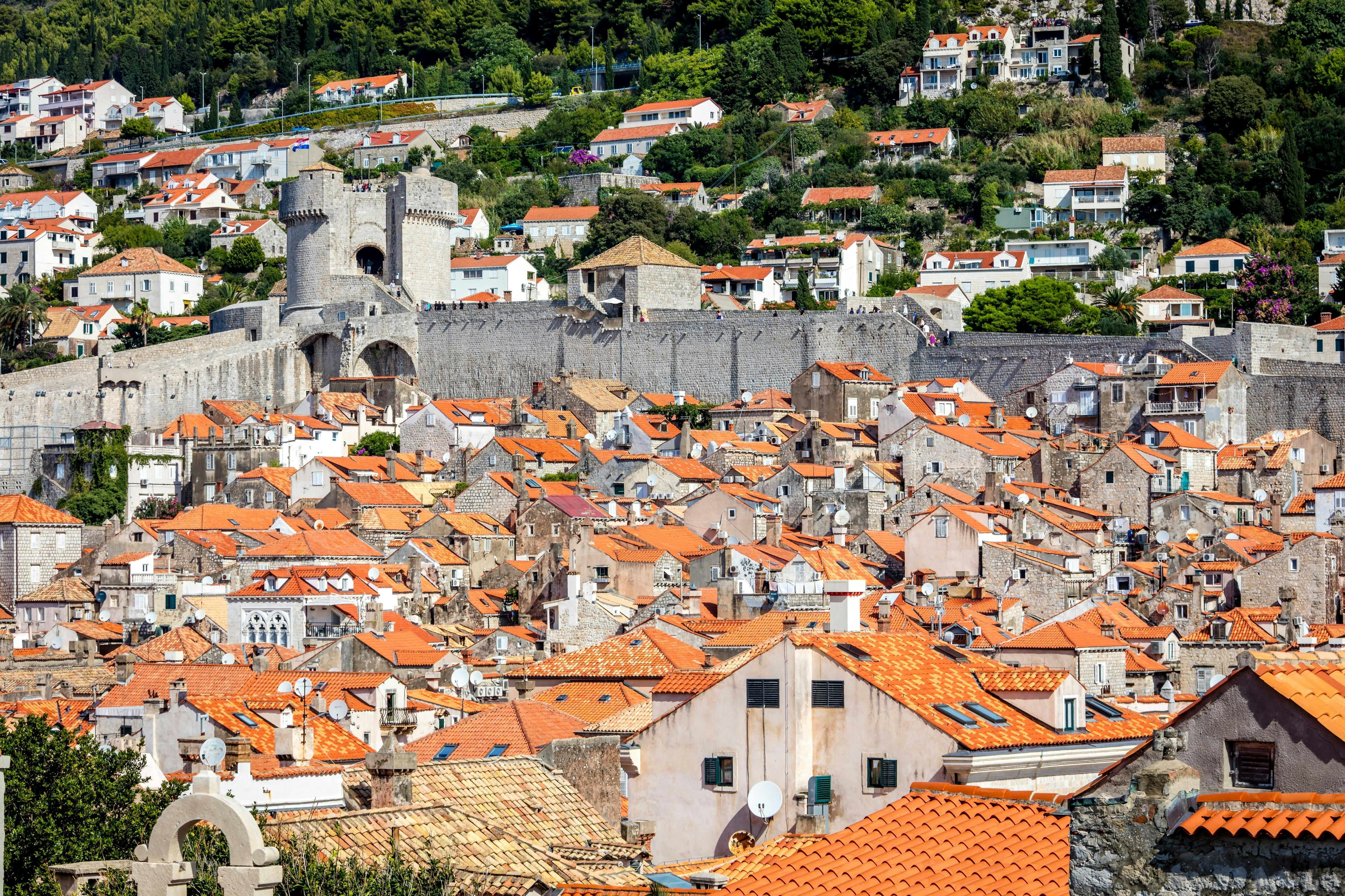 Dubrovnik City Walls Tour