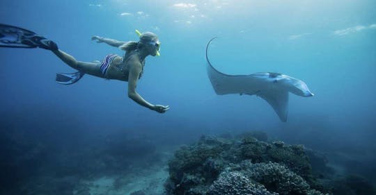 Avventura di snorkeling all-inclusive privata di Nusa Penida