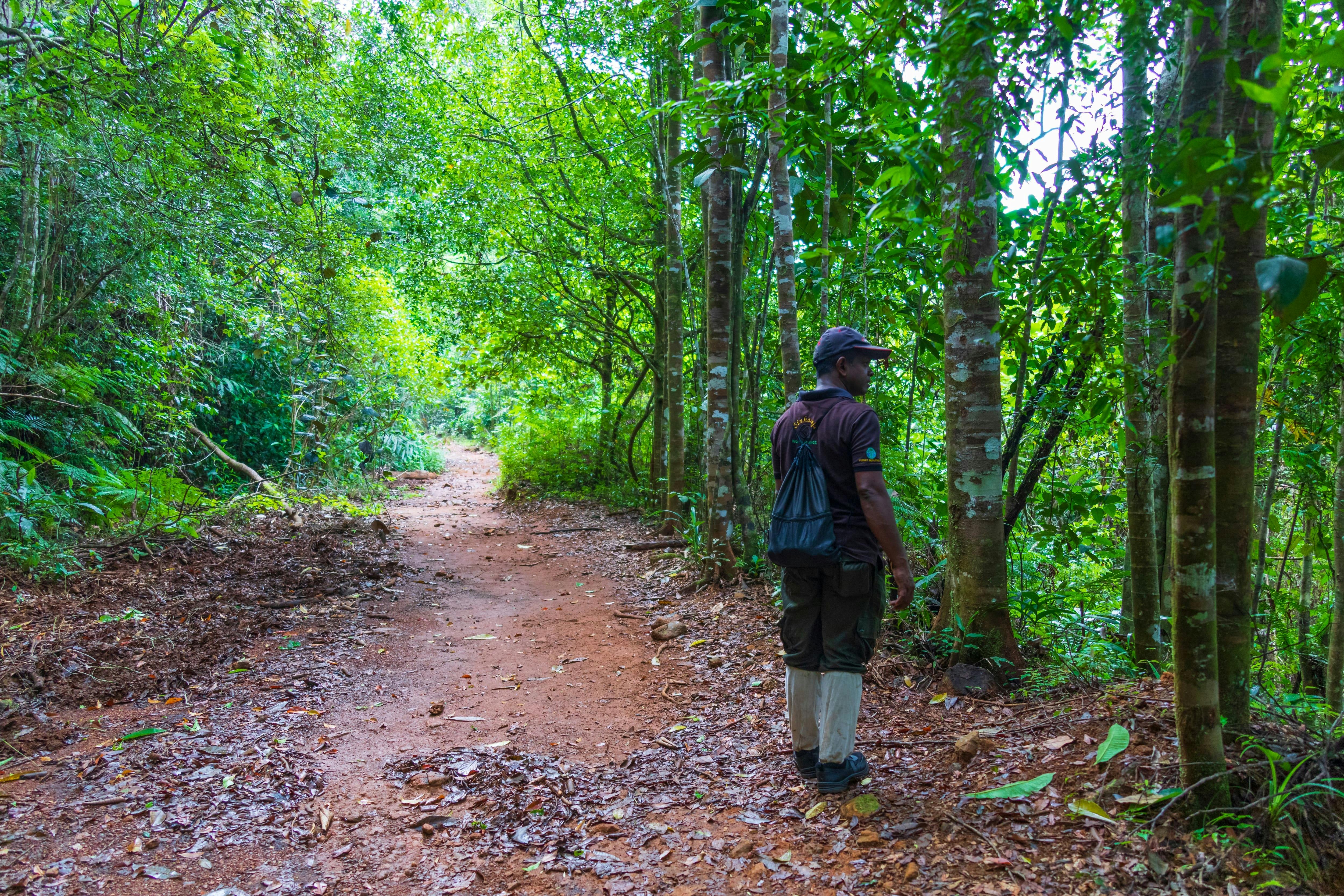 Sinharaja Forest Trek