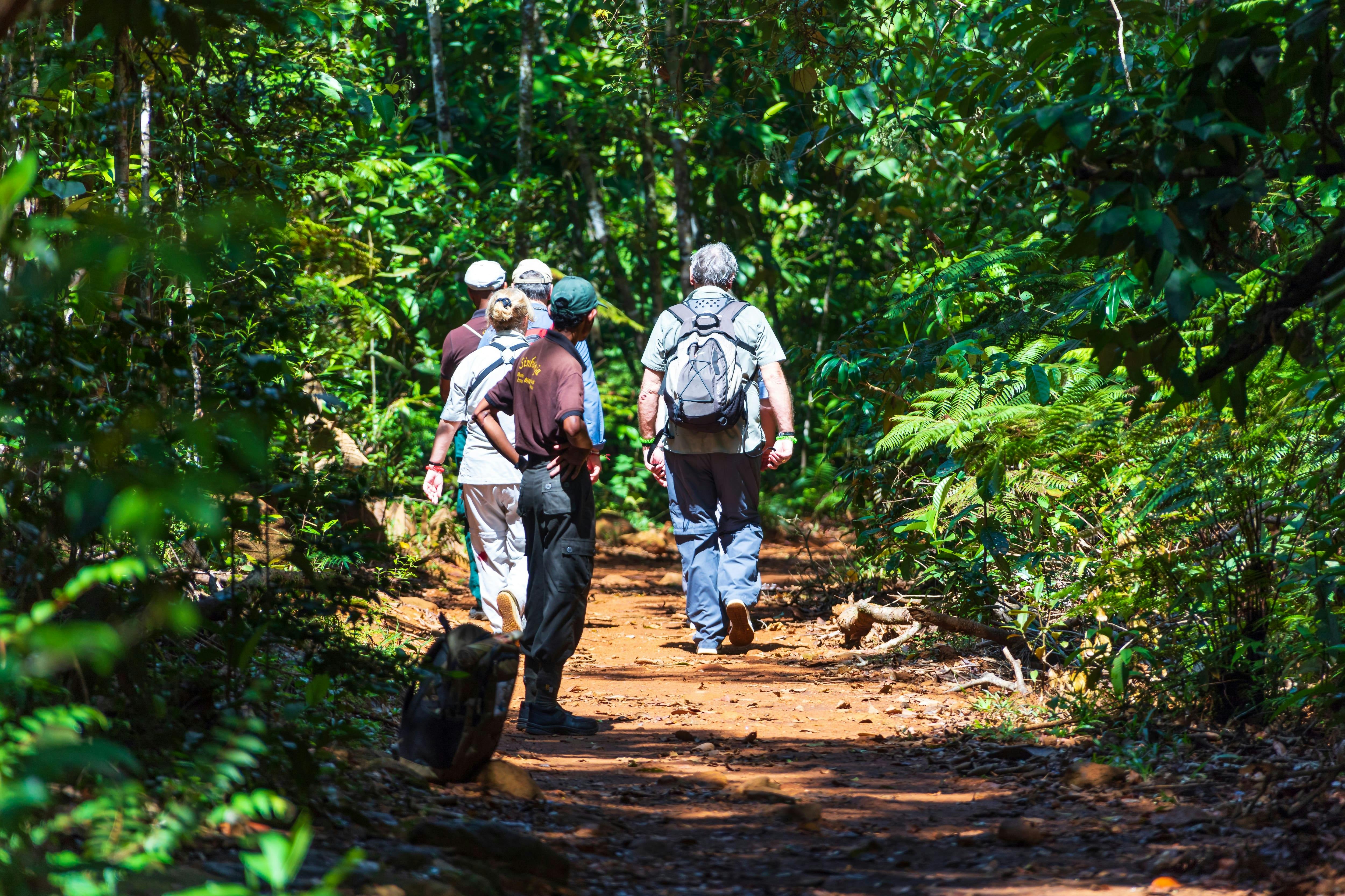 Sinharaja Forest Trek