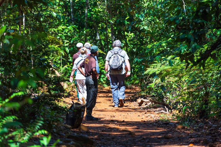 Sinharaja Forest Trek