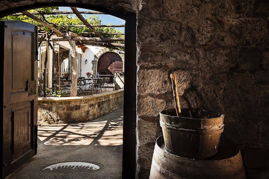 Exklusive Inseltour mit Weingut Besuch