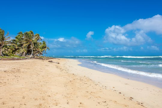 Private Half-day Safari Eco Caribe
