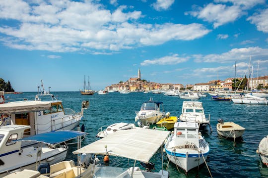 Small Group Tour of Istria Towns from Pula & Medulin