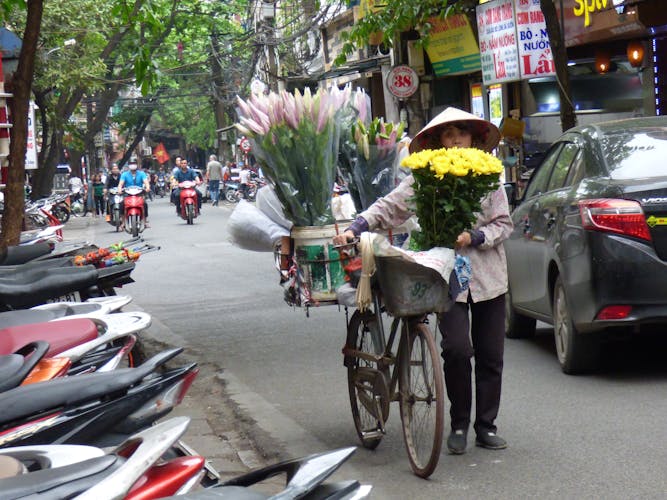 8-day Hanoi, Tam Coc, Sapa and Halong Bay guided tour